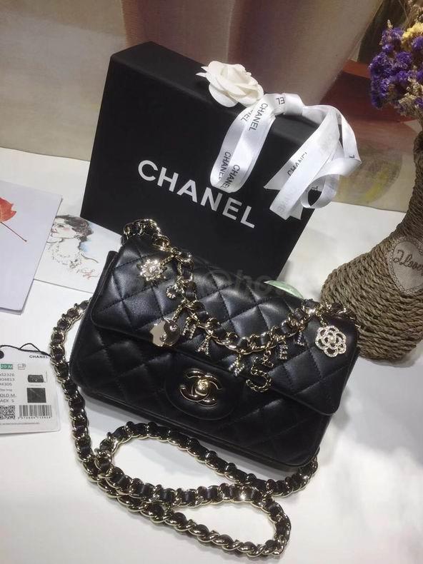 Chanel Handbags 507